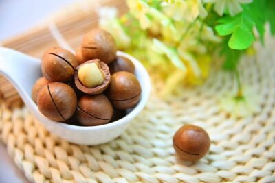 10 Amazing benefits of macadamia nuts