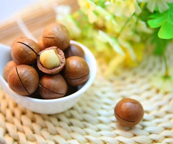 10 Amazing benefits of macadamia nuts
